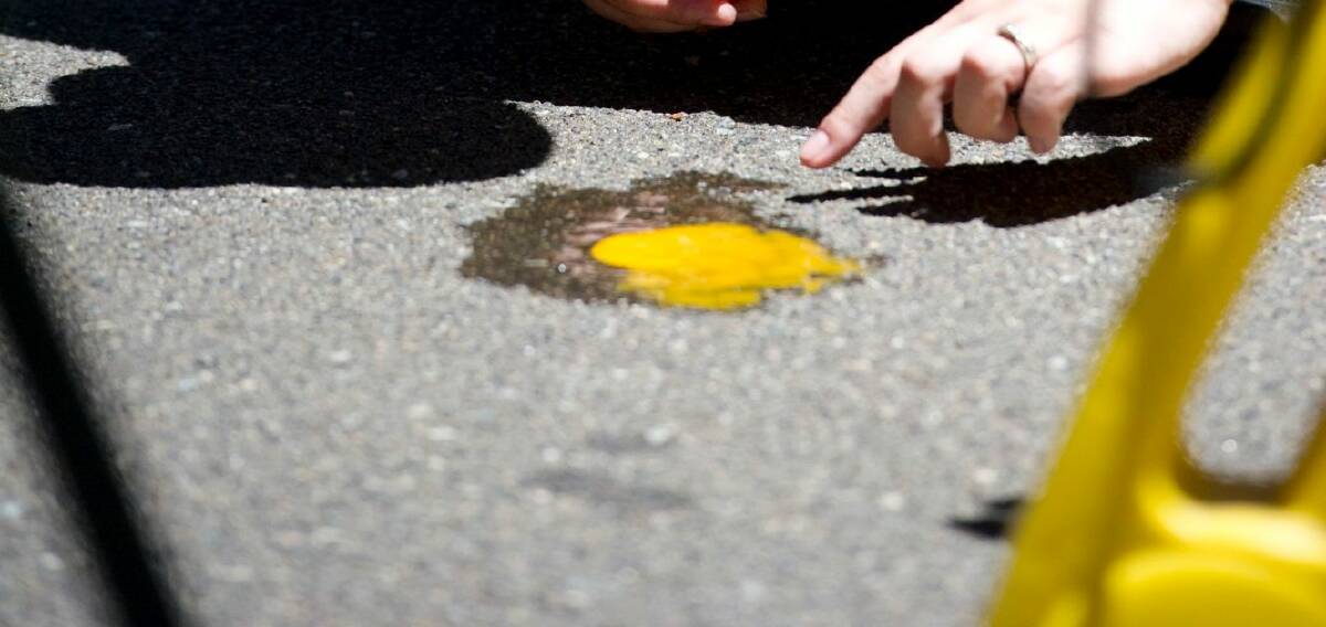 Can you fry an egg on the road? Hot weather myths put to the test