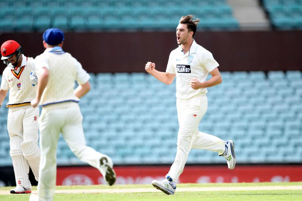 Return to Tests: Pat Cummins has been called in as Mitchell Starc's replacement in India. Photo: Getty Images