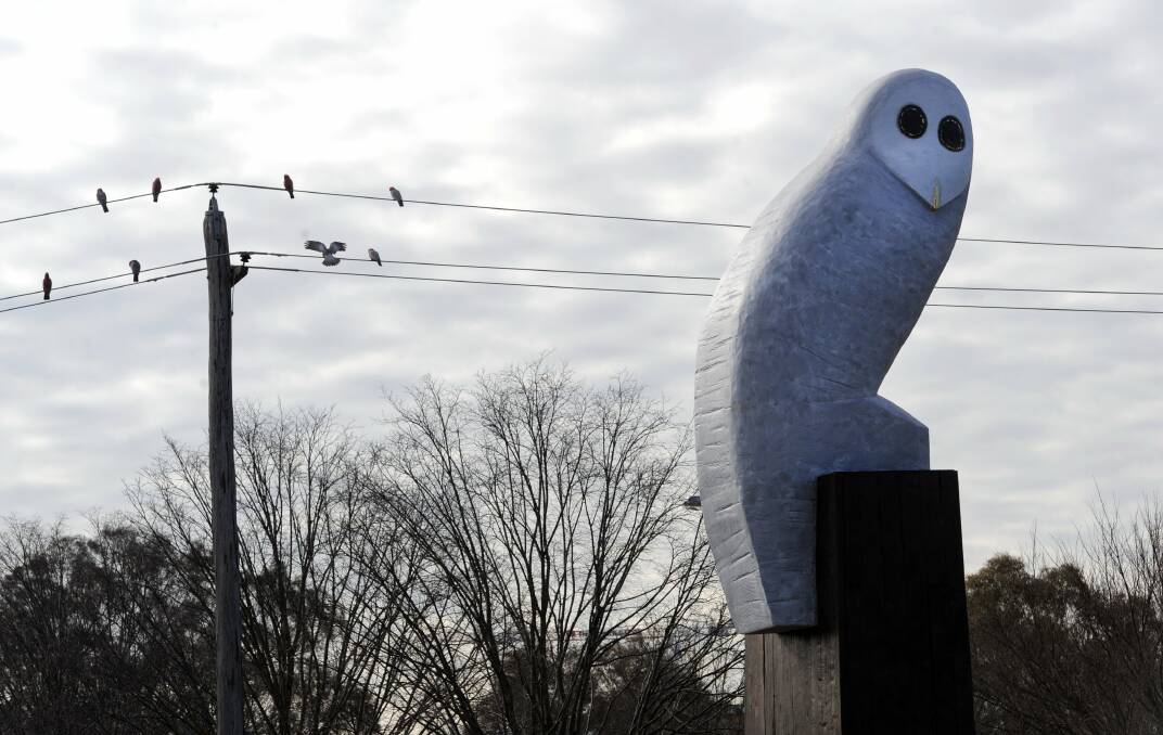 The iconic owl sculpture on the corner of Belconnen Way and Benjamin Way. Photo: Graham Tidy