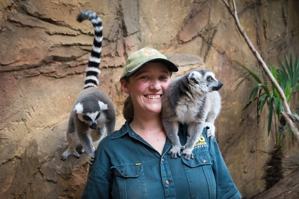 Zookeeper Rachael Thomas with ring-tailed lemurs, one of the many animals she will look after on Christmas Day. Photo: Dion Georgopoulos
