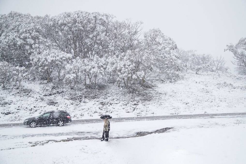 We're 24 days from summer...and it's snowing at Perisher Photo: Supplied