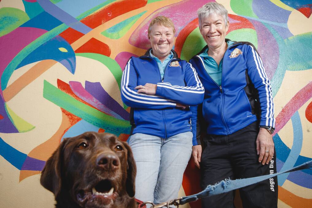 Dogs on the Run owners Barb Grundy and Carolyn Kidd at the Ainslie shops with Juddy the labrador. The much-loved dog walkers are hanging up their leash Photo: Sitthixay Ditthavong