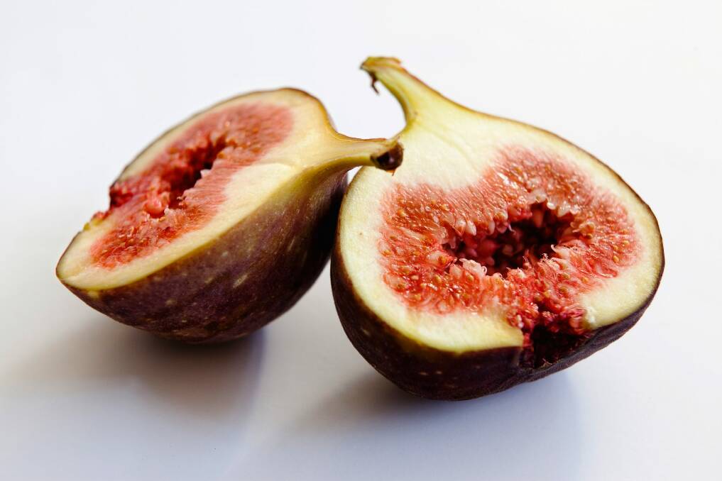 Fresh. Fig figs. SMH THE (SYDNEY) MAGAZINE Picture by JENNIFER SOO SMAG130125 Photo: Jennifer Soo