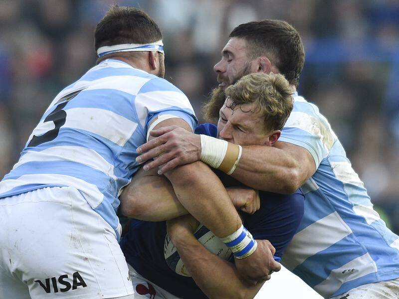 Argentina have crushed fellow South Americans Uruguay 79-5 in a Montevideo rugby Test. Photo: AP PHOTO