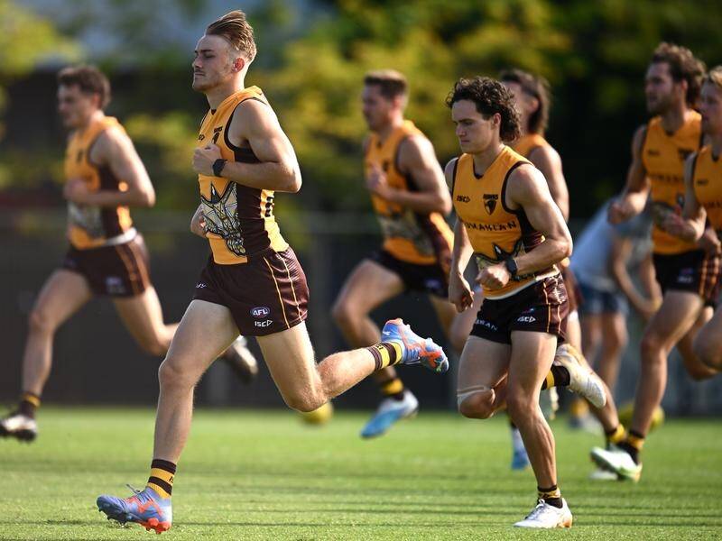 Hawthorn's players have been warned to expect a tough week on the training track. (Joel Carrett/AAP PHOTOS)