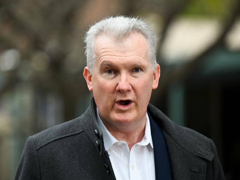 "We have to take account of the fact small businesses don't have an HR department," Tony Burke says. (Lukas Coch/AAP PHOTOS)