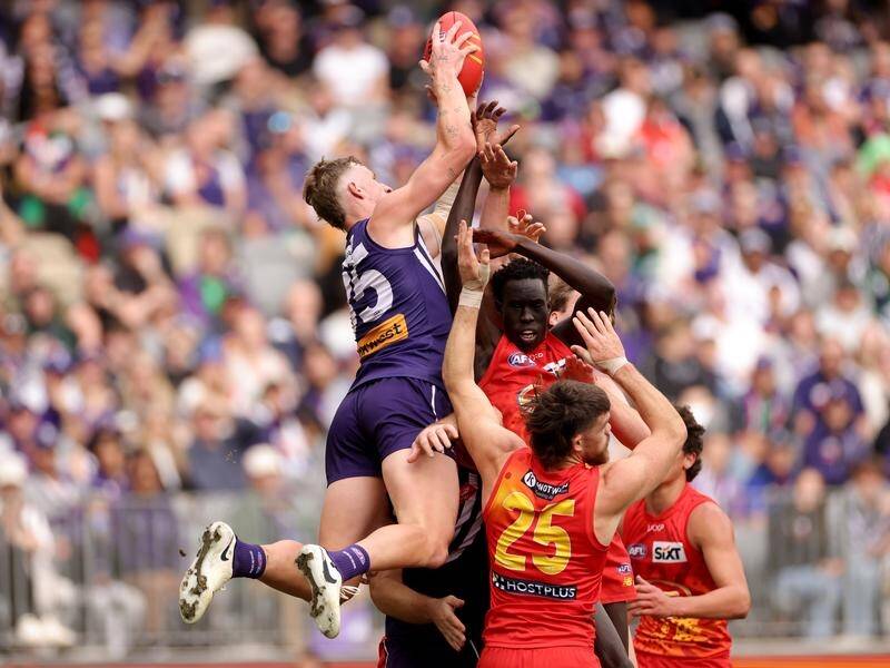 Josh Treacy soared for a spectacular mark as his Fremantle outfit downed Gold Coast in Perth. (Richard Wainwright/AAP PHOTOS)