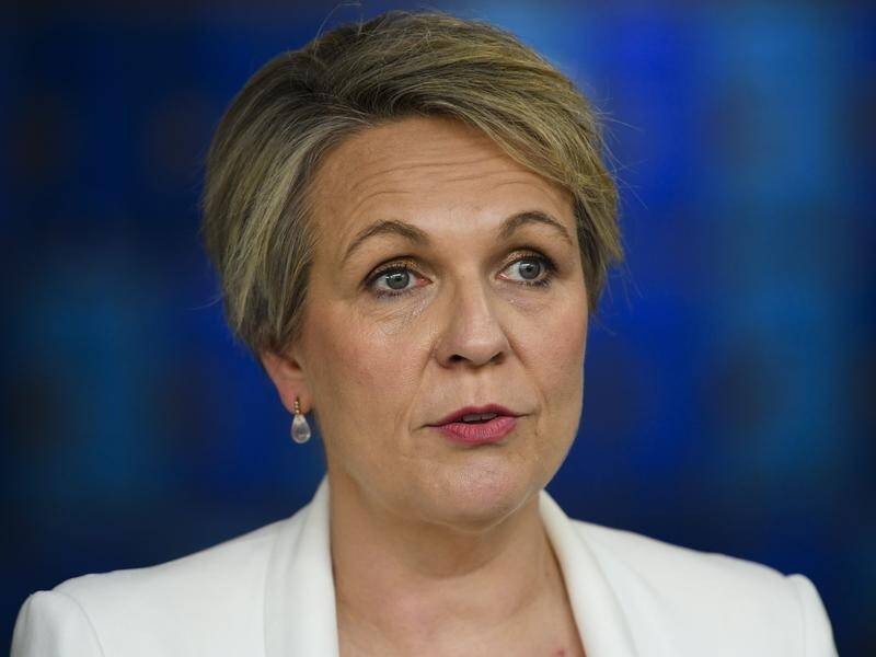 Tanya Plibersek wants to flip Australia's environmental laws so they are nature positive. (Lukas Coch/AAP PHOTOS)