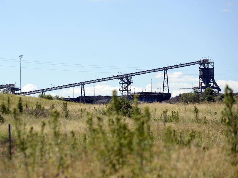 Officers are investigating claims that the New Acland coal mine extends beyond its approved area.