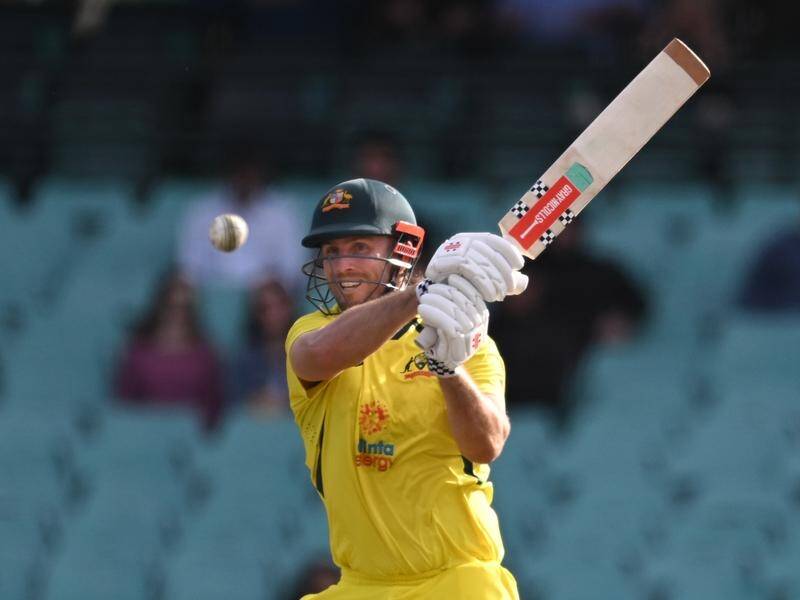 Mitchell Marsh, Tim David set up Australia's massive victory
