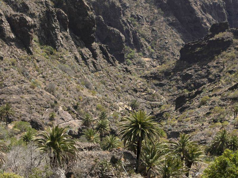 A teen who was missing in Tenerife likely died after a fall in rocky terrain, authorities say. Photo: EPA PHOTO