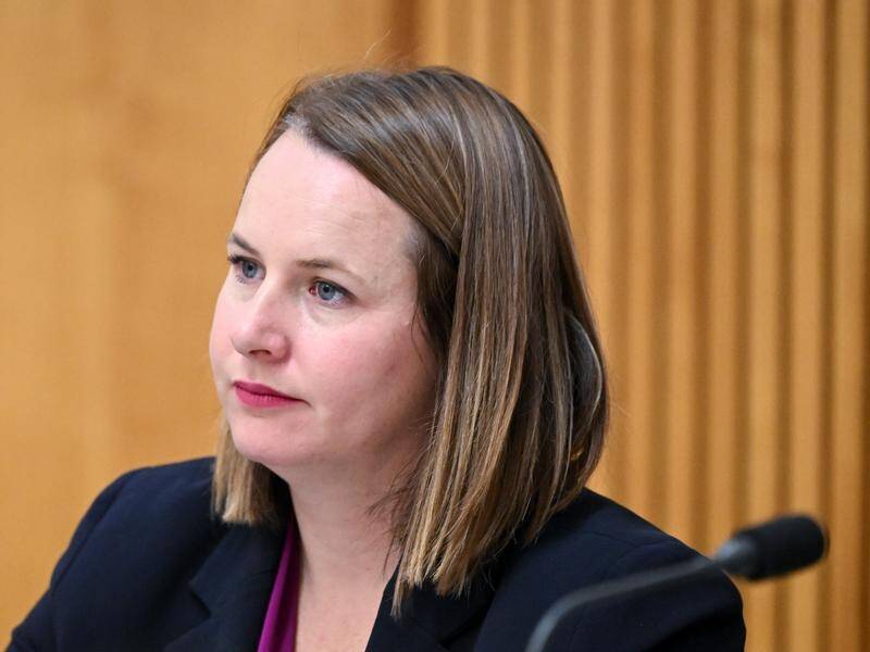 Labor senator Nita Green recommended the government introduce its own bill as a matter of urgency. (Lukas Coch/AAP PHOTOS)