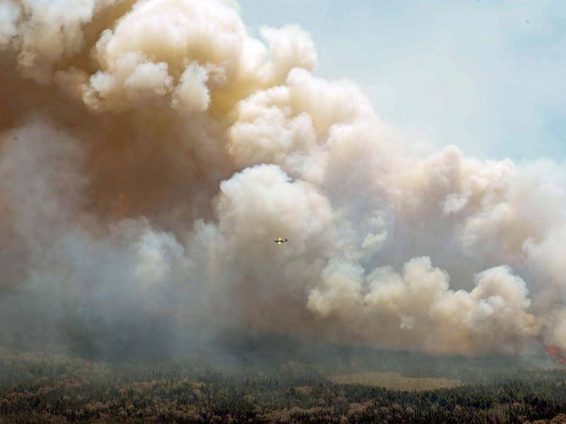 Wildfires are now burning in almost all Canadian provinces. (AP PHOTO)