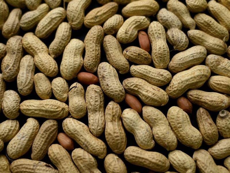 The US FDA has approved a drug designed to gradually reduce sensitivity to peanuts.