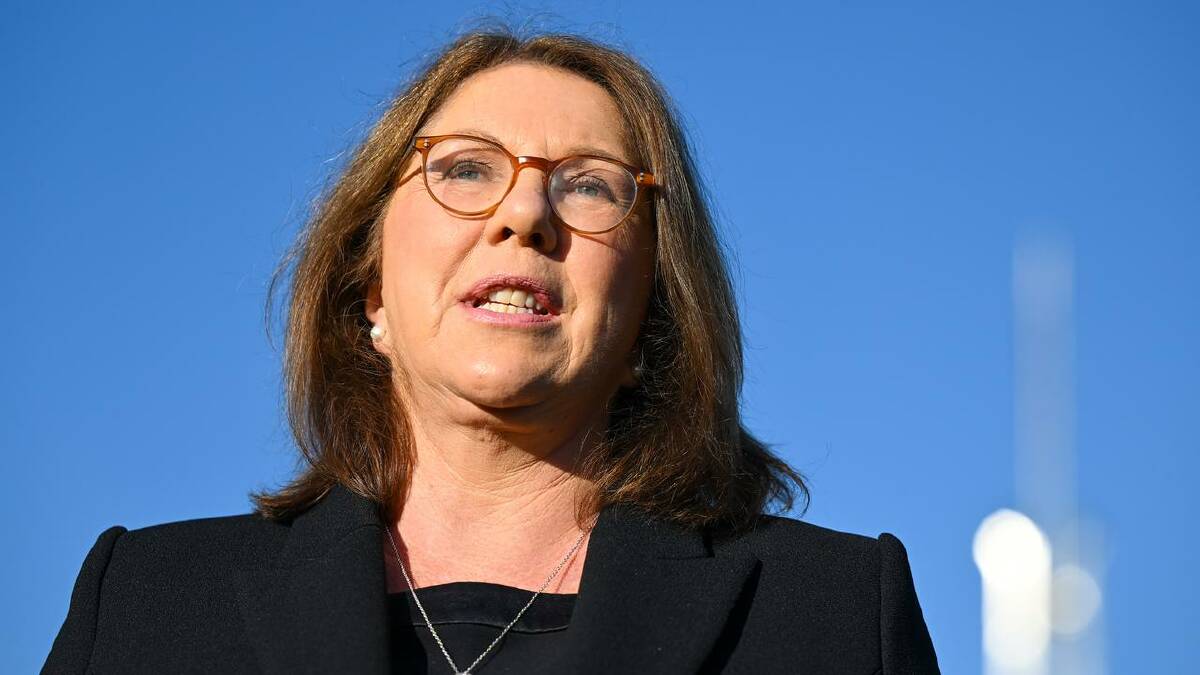 "Regional Australians rely on Rex. It's an incredibly important airline," Catherine King says. (Lukas Coch/AAP PHOTOS)