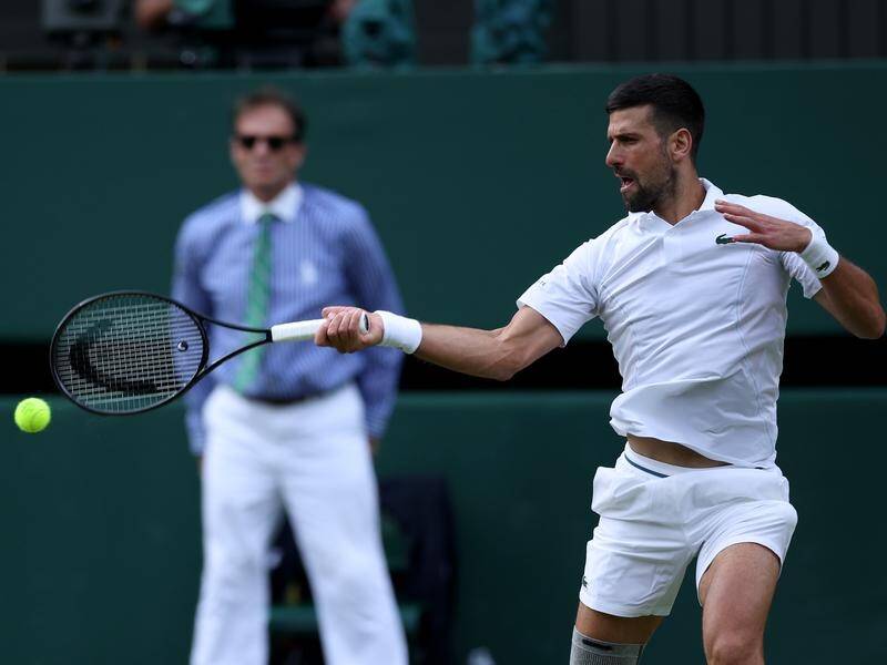 Pat Cummins watched Novak Djokovic defeat British qualifier Jacob Fearnley at Wimbledon. (EPA PHOTO)