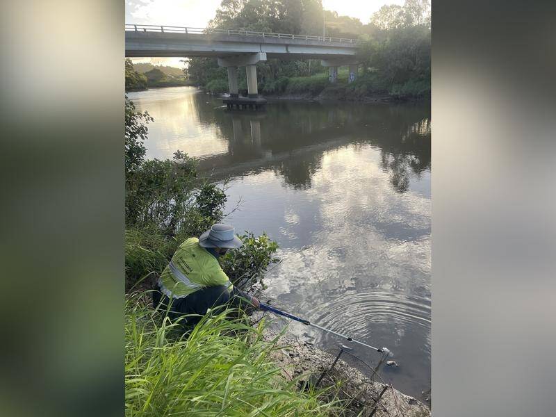 An environment department officer takes a sample at the Albert River on the Gold Coast. (Supplied Department of Environment Science and Innovation/AAP PHOTOS)