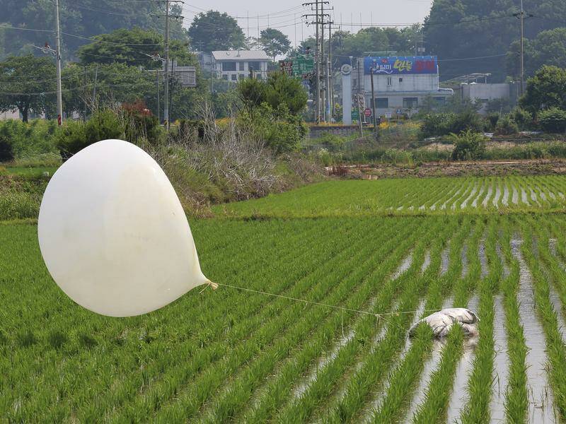 The latest balloon activities by North Korea are the tenth of their kind since late May. Photo: AP PHOTO
