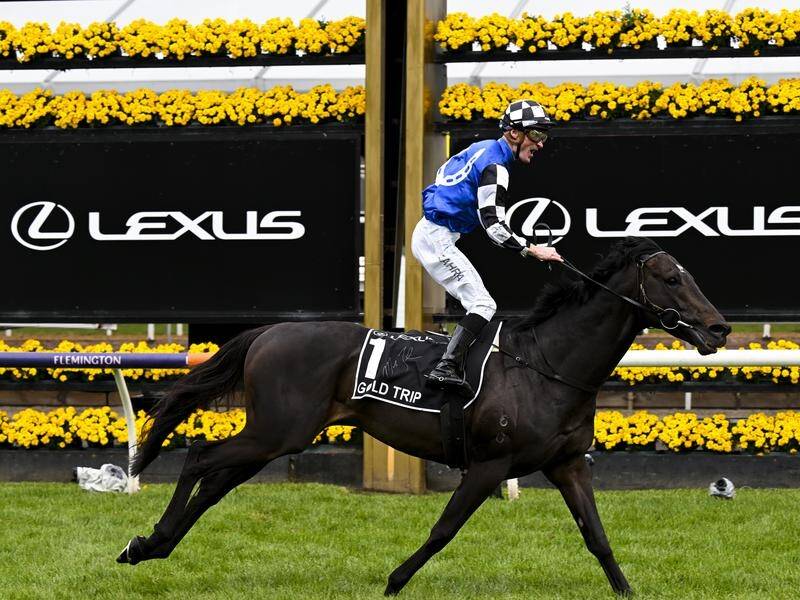 Mark Zahra has piloted Gold Trip to victory in the $8 million Melbourne Cup. (James Ross/AAP PHOTOS)