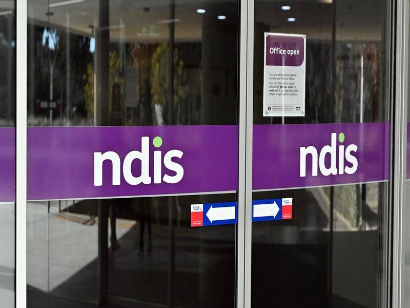 Bill Shorten says his attempt to cut fraud and waste in the NDIS is being thwarted. (Mick Tsikas/AAP PHOTOS)