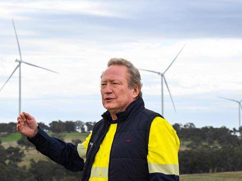 Andrew Forrest says Australia could be hit with carbon taxes if it drops emissions cuts for nuclear. (Lukas Coch/AAP PHOTOS)