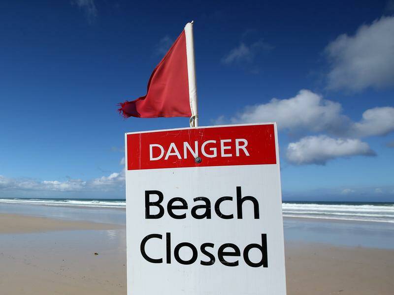 Beaches near Port Macquarie will be closed for at least 24 hours following a shark attack (file pic) Photo: Jono Searle/AAP PHOTOS