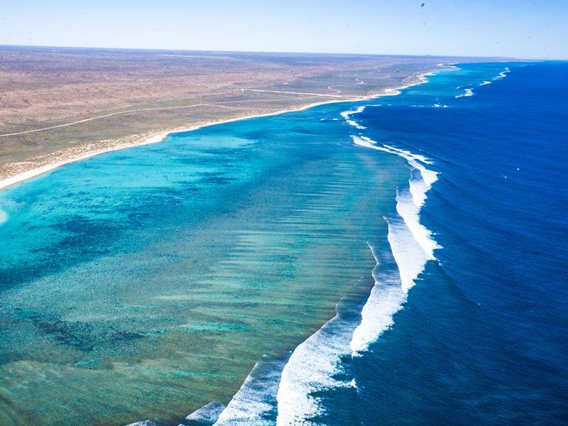 Ningaloo stretches more than 300km across the WA coast and was world heritage listed in 2011.