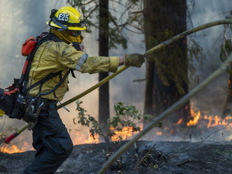The Park Fire had scorched more than 1430 square kilometres of northern California. Photo: AP PHOTO