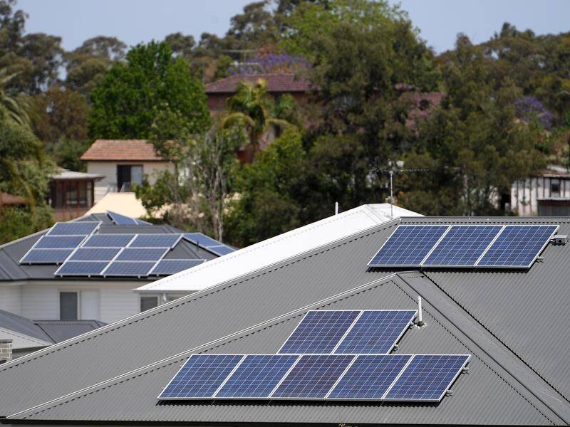Record rooftop solar and a mild winter sparked a plunge in wholesale electricity and gas prices. (Dan Himbrechts/AAP PHOTOS)