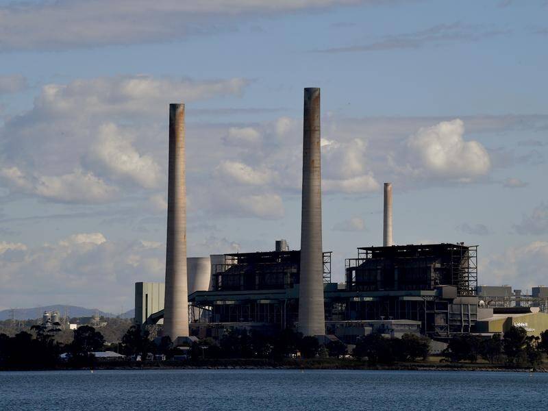 The site of the NSW Liddell power station has been earmarked by the coalition for a nuclear plant (Bianca De Marchi/AAP PHOTOS)