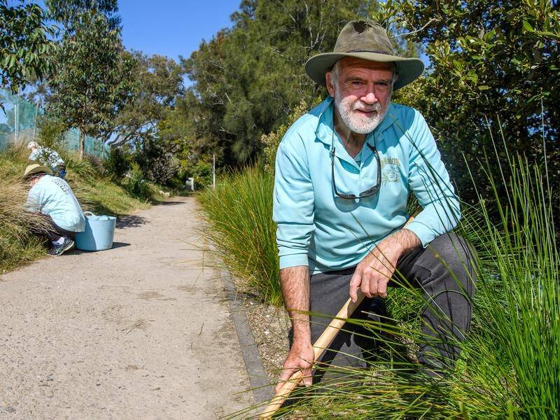 Conservation volunteer Peter Munro hopes people will one day swim in Sydney's Cooks River. (BIANCA DE MARCHI)