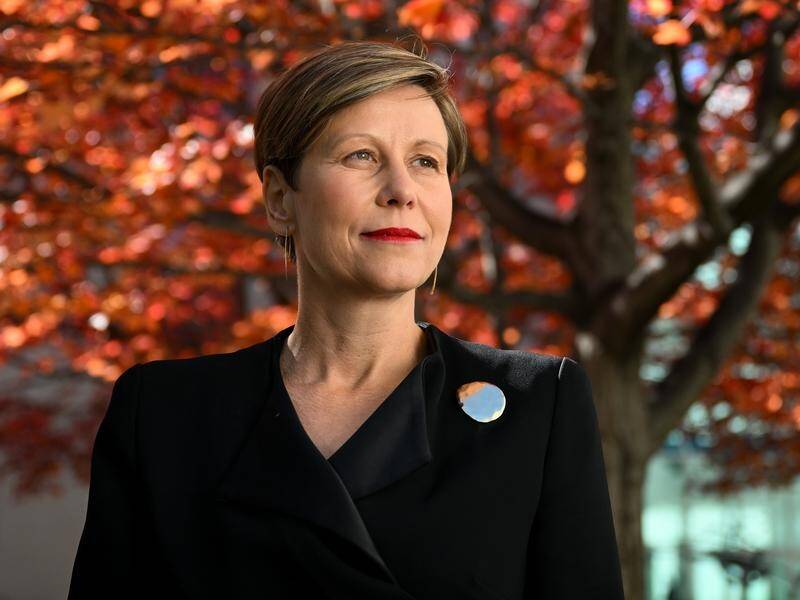 Jenny McAllister says the former government's inaction on climate change held back a key program. (Lukas Coch/AAP PHOTOS)