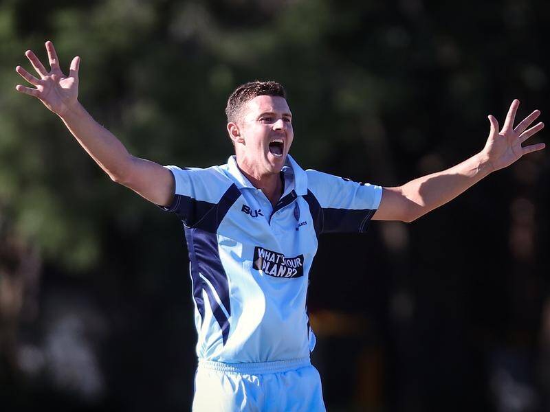 Josh Hazlewood has hit the jackpot at the IPL auction, snapped up by RCB for $A1.44 million.