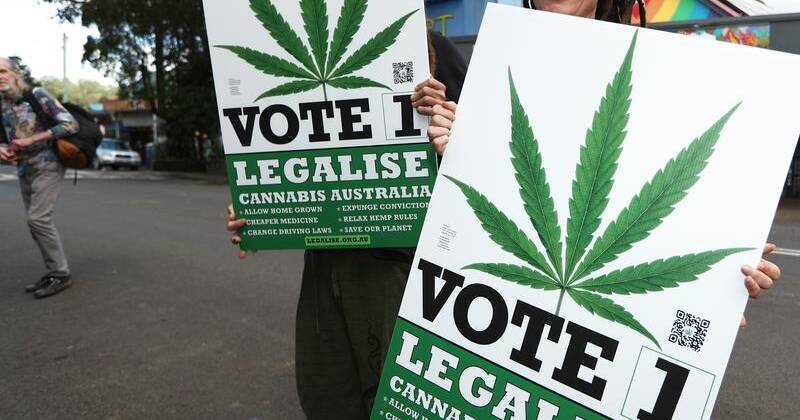 Florida Voters: Think About Who Really Leads Mexico When You Vote on Marijuana!