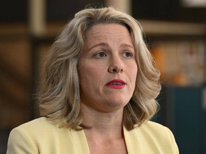 Universities want Home Affairs Minister Clare O'Neil to streamline and simplify migration processes. (Dean Lewins/AAP PHOTOS)