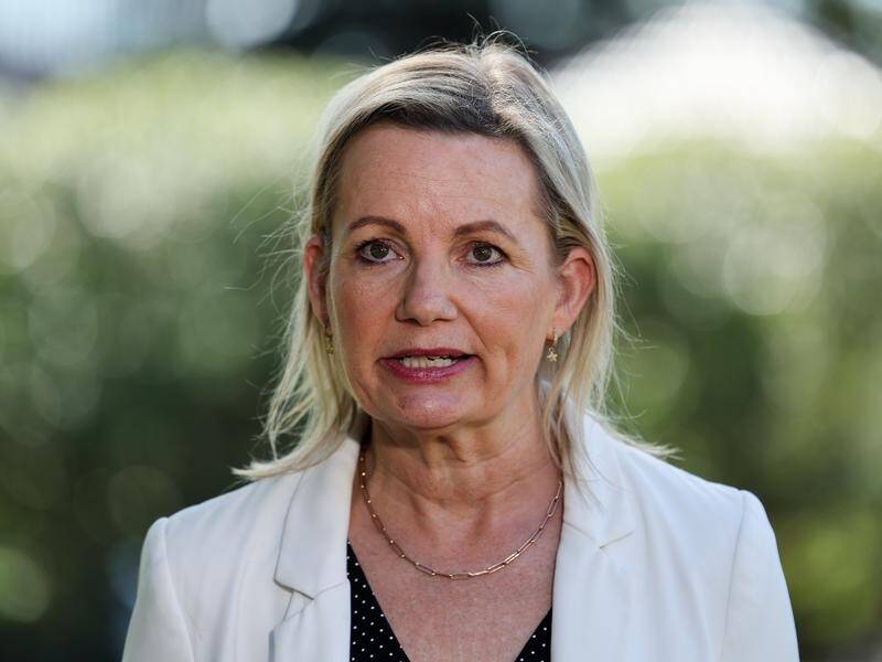 Deputy Liberal Leader Sussan Ley will spearhead a coalition attack on Labor's economic credentials. (Paul Braven/AAP PHOTOS)