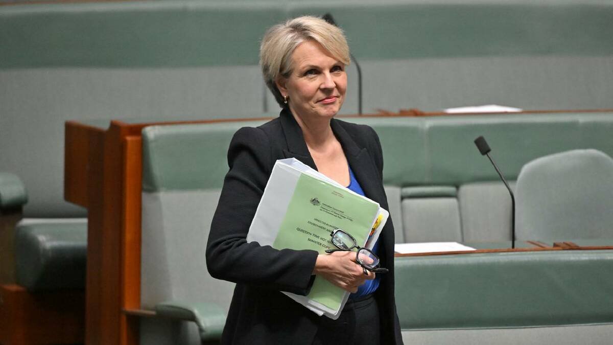 Tanya Plibersek was backed by 13 per cent of voters as a preferred leader for Labor (Mick Tsikas/AAP PHOTOS)