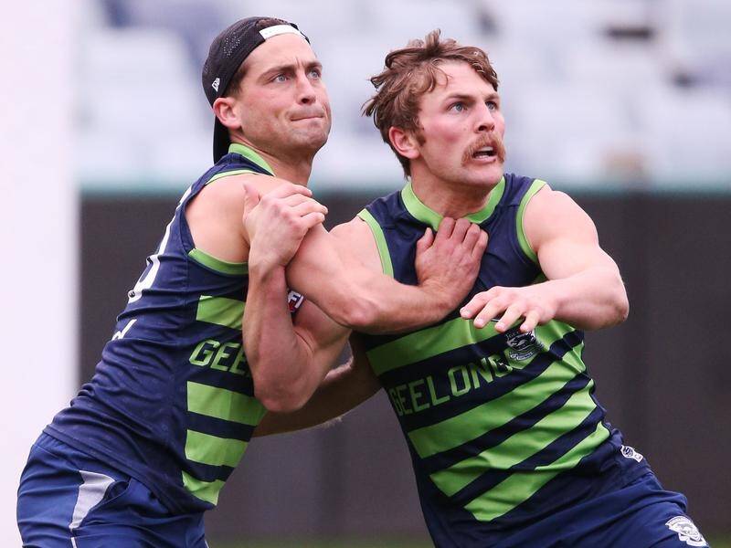 Luke Daulhaus (L) returns for the Cats this weekend in what will be Mitch Duncan's 200th AFL game.