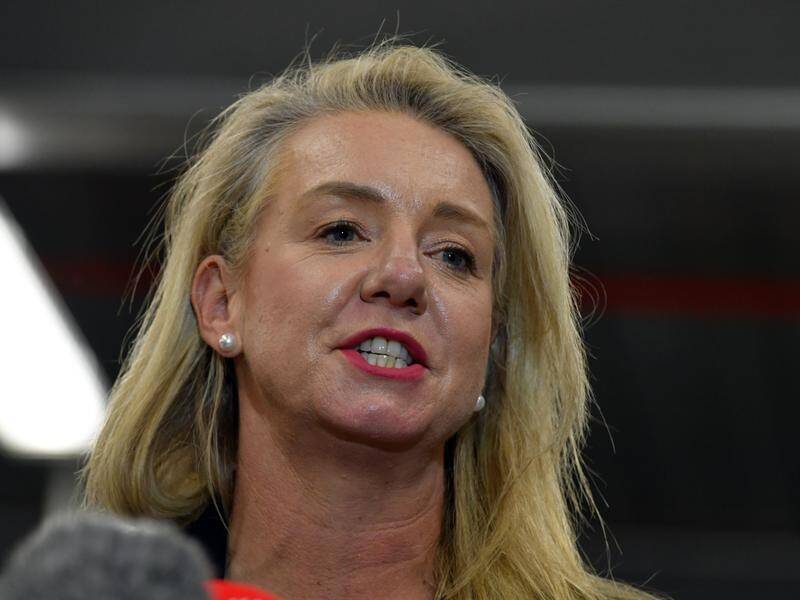 A report says Bridget McKenzie was wrong to award a sports grant to a gun club she belonged to. (Mick Tsikas/AAP PHOTOS)