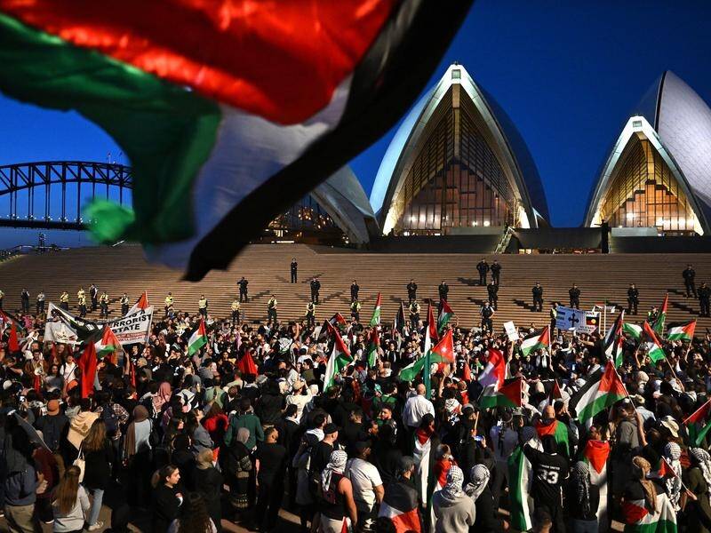 Palestinian supporters rallied but the Opera House won't be lit up in red, black, white and green. (Dean Lewins/AAP PHOTOS)