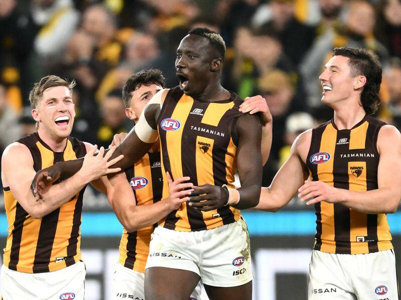 Hawthorn are excited ahead of a big day at the MCG against the defending premiers. Photo: Joel Carrett/AAP PHOTOS