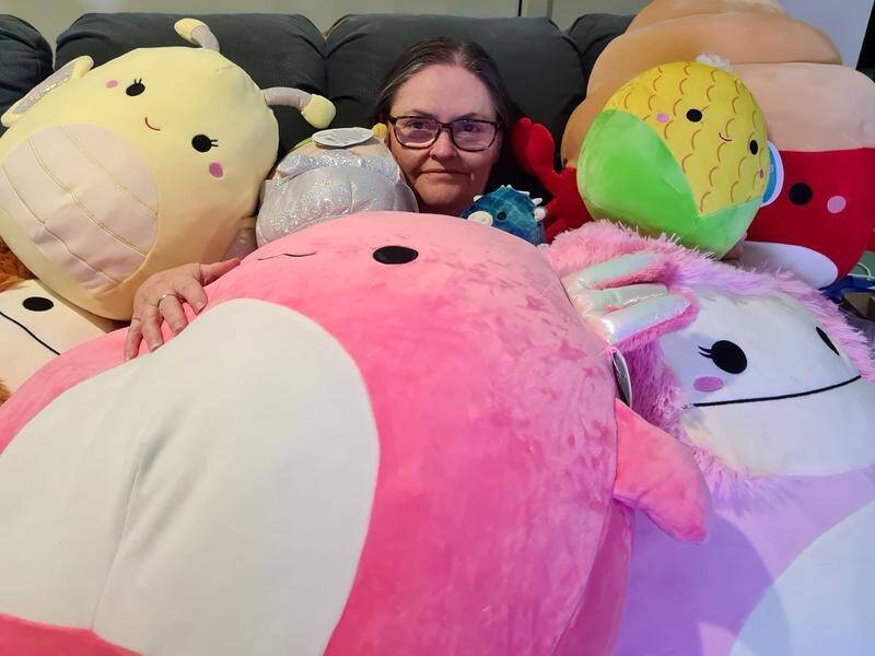 Popular plush toys, Squishmallows, are big business in Northern Colorado