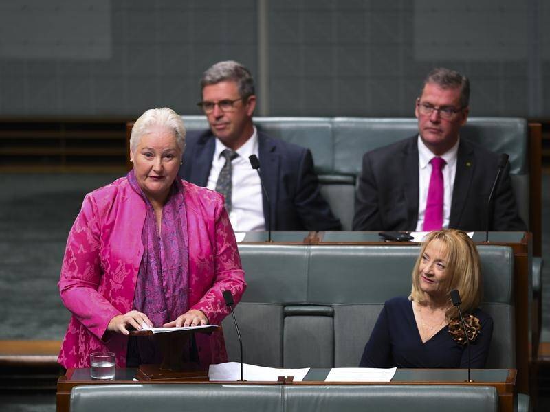 Liberal MP Ann Sudmalis lamented the slow progress on women's equality in her valedictory speech.