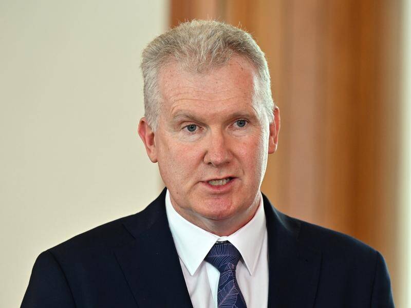 Tony Burke is helping oversee government action to prevent stone workers getting deadly silicosis. (Mick Tsikas/AAP PHOTOS)
