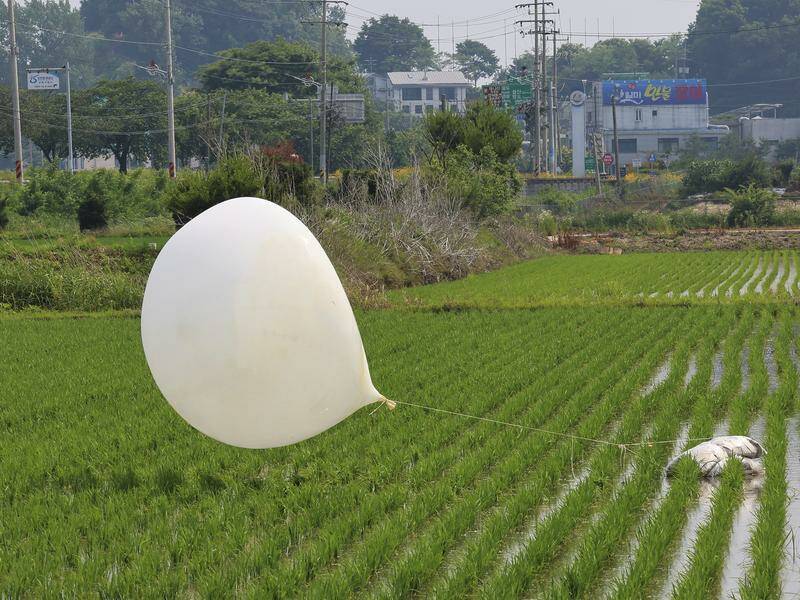 North Korea has floated more than 2000 balloons towards South Korea since late May. Photo: AP PHOTO