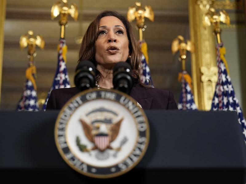"Ours is a fight for the future," US presidential hopeful Kamala Harris says. Photo: AP PHOTO