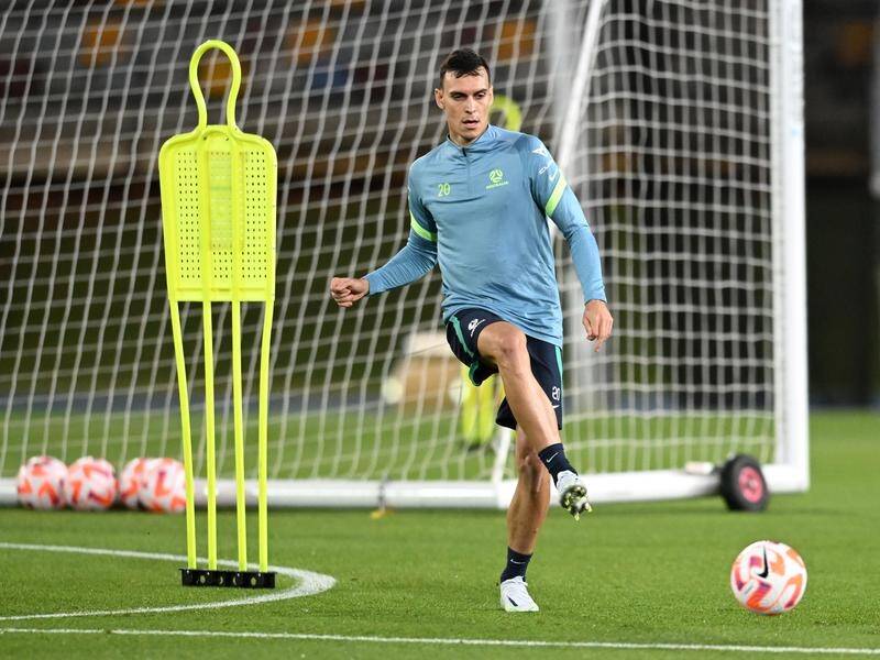 Trent Sainsbury's place in Australia's World Cup squad is not a given after his display against NZ. (Darren England/AAP PHOTOS)