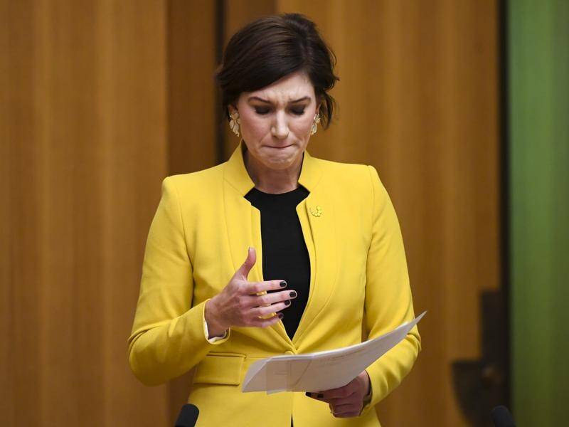 Liberal MP Nicolle Flint has revealed the abuse and vitriol she has received from online trolls.