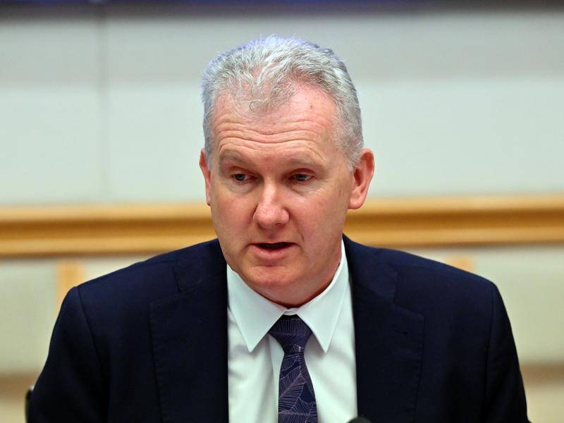 Tony Burke says there will be issues with silicosis across a range of industries for years to come. (Mick Tsikas/AAP PHOTOS)