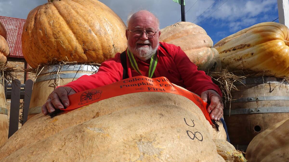 The Collector Village Pumpkin Festival. Pictures: Steve Evans.